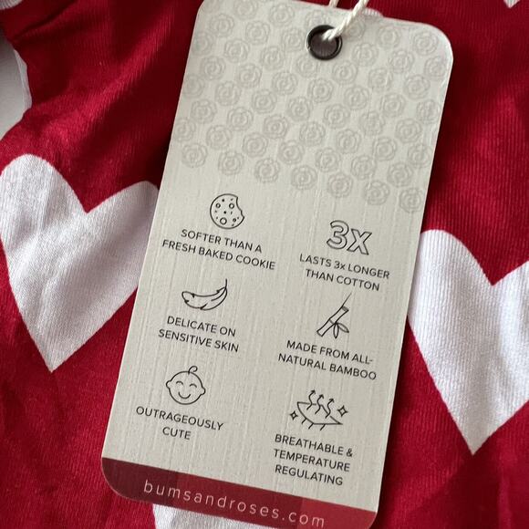 NEW Bums & Roses Bamboo Heart Ruffle Dress - Picture 4 of 6